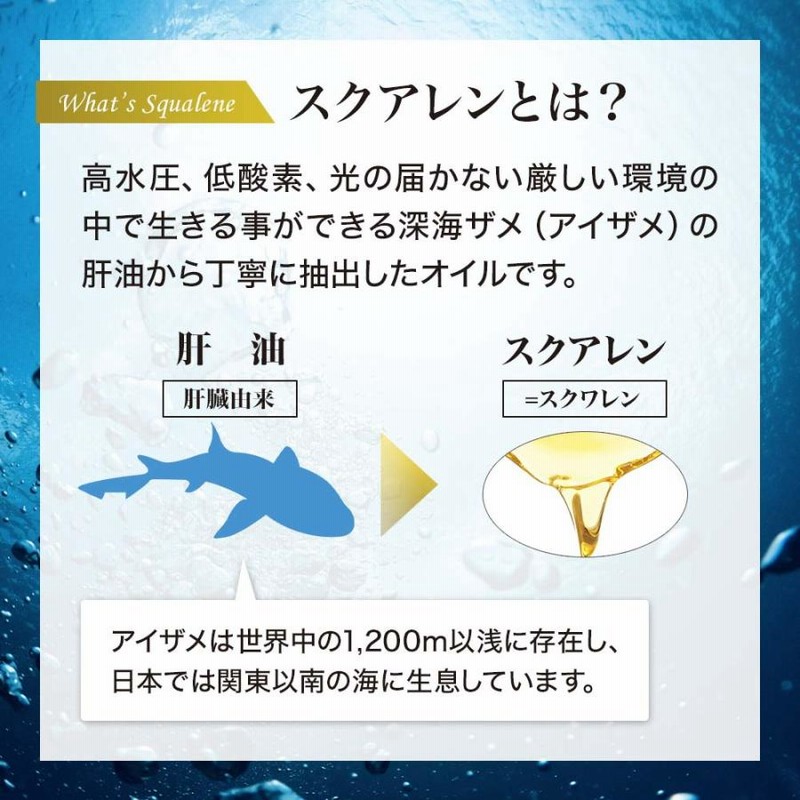 鮫肝海王（サメギモポセイドン）180粒 【送料無料】エバーライフ