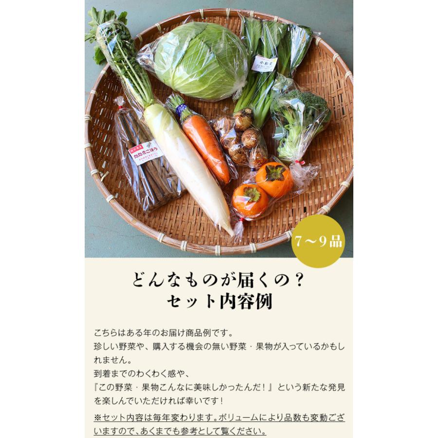 野菜 産地直送 7〜9商品 内容おまかせ 月替わり 奈良県産 明日香村 果物 フルーツ 詰め合わせ 産直 指定日不可 同梱不可