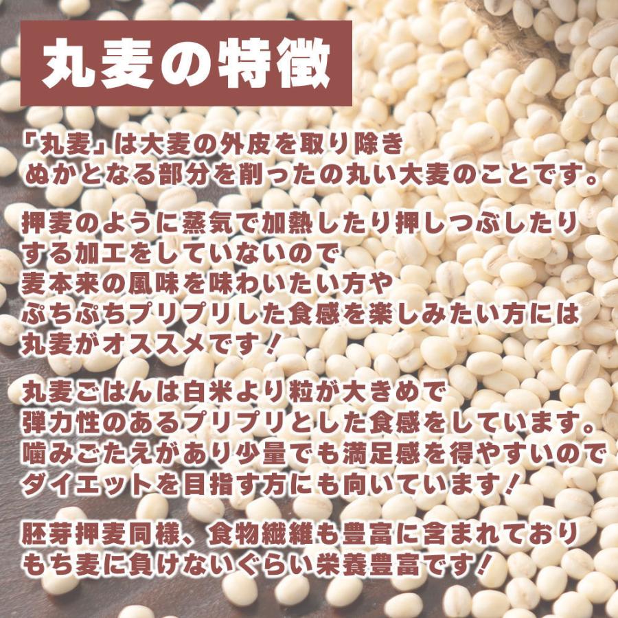 セール 国産 もち麦 4.5kg(450g×10袋) （翌日発送） 無添加 無着色 雑穀 雑穀米 ダイエット 置き換え 食品 食物繊維 送料無料