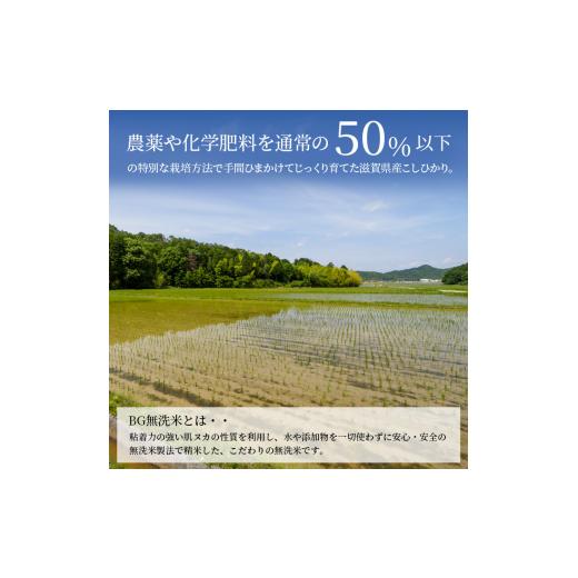 ふるさと納税 滋賀県 豊郷町 米 こしひかり BG無洗米 5kg 令和5年 ふるさと応援特別米 無洗米 お米 こめ コメ おこめ 白米 コシヒカ…