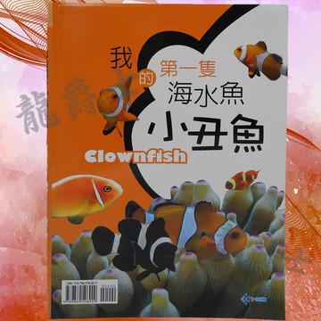 ✨現貨✨我的第一隻海水魚-小丑魚     Q3