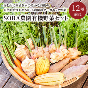 SORA農園 有機野菜セット（12種前後）冬季　＜京野菜・西洋野菜などオーガニック野菜セット＞