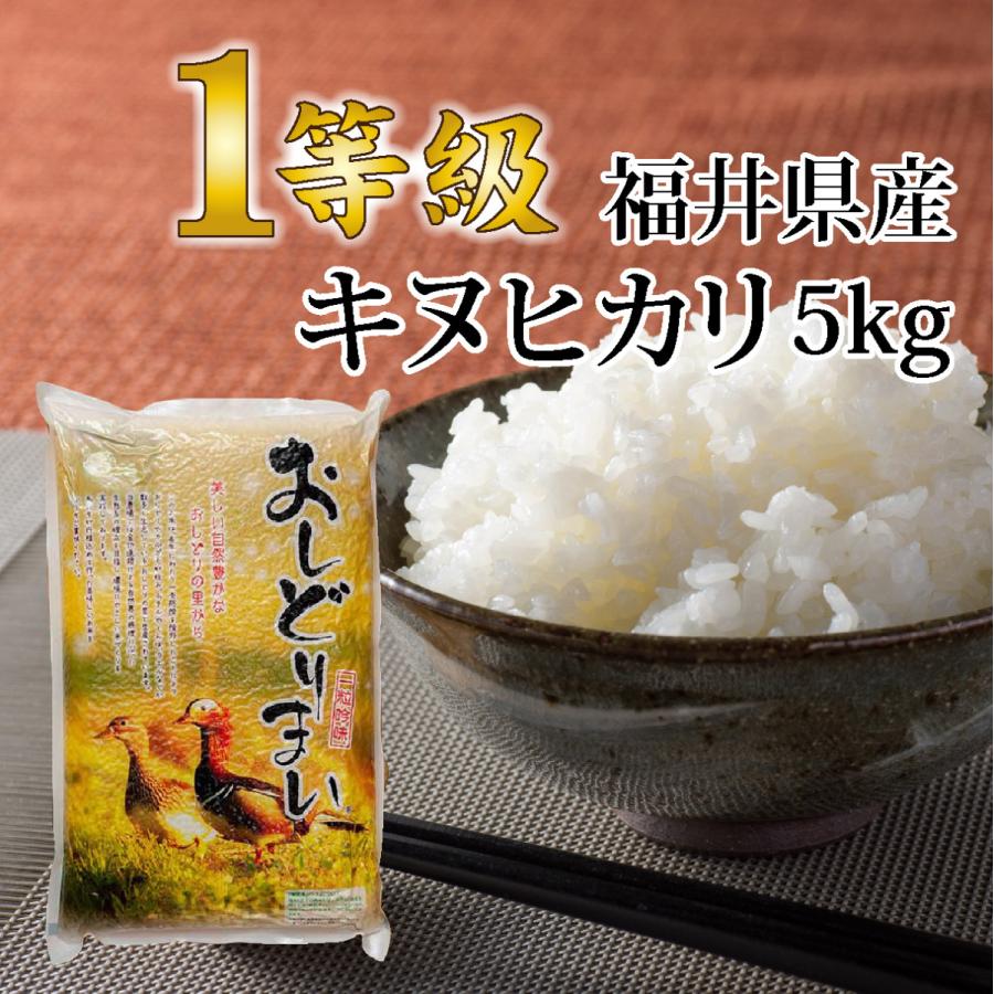 キヌヒカリ 精米5キロ 送料無料 令和5年度産 新米 1等級 福井県産 令和 おいしいお米 ふるさとの味