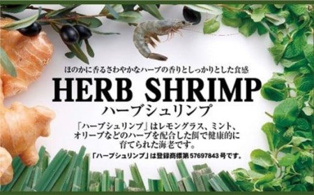 大型むきエビ冷凍「ハーブシュリンプ」1kg（背ワタ処理済み）    むきエビ 大型むきエビ冷凍