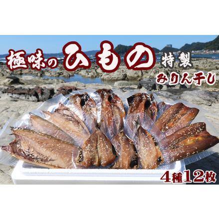 ふるさと納税 特製！みりん干し詰合せ ４種12枚　[0011-0011] 千葉県鴨川市