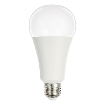 EVERLIGHT 億光 LED球泡燈 16W  黃光  1個