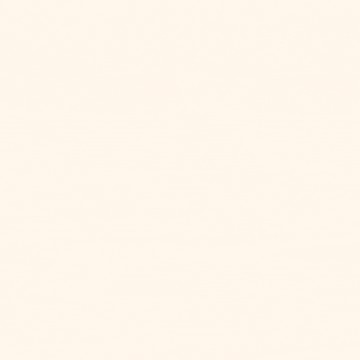 中山國小捷運*中山北3房豪邸面公園樹海+陽台✨｜台北市中山區中山北路二段