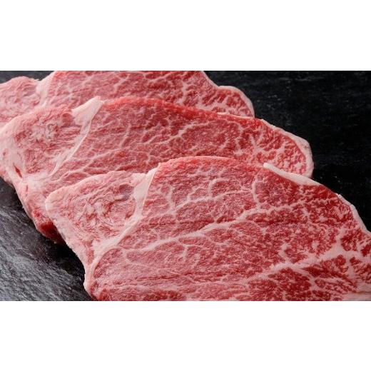 ふるさと納税 岐阜県 下呂市 飛騨牛ヒレステーキ  約780g（5〜7枚）ブランド牛 牛肉 国産 下呂温泉  赤身