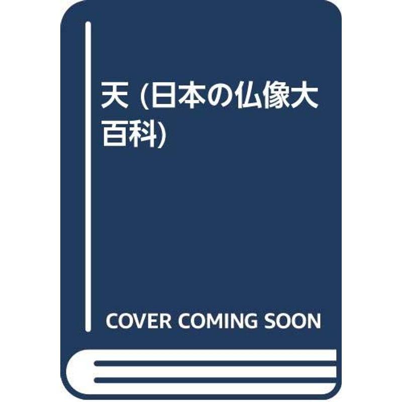 天 (日本の仏像大百科)