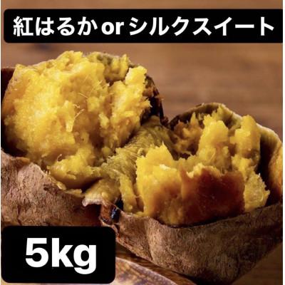 ふるさと納税 山鹿市 訳アリ　紅はるかorシルクスイート　蜜芋　5kg(山鹿市)