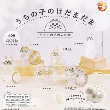 🔥佑佑精選🔥丨透明貓毛收納盒 貓毛收集 貓毛收集扭蛋 貓毛收集吊飾 貓毛收集膠囊 貓毛收集吊飾 貓咪毛髮收集鑰匙扣 WA