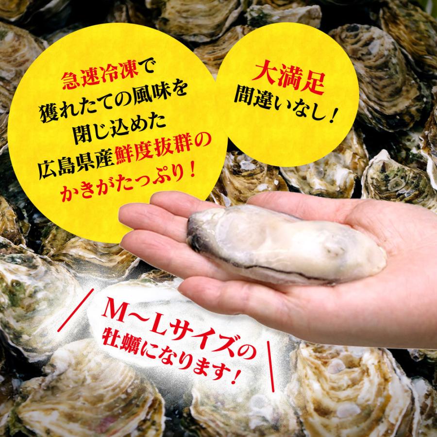 かき カキ 牡蠣 むき身 1kg (解凍後850g) 広島県産 カキフライ 鍋