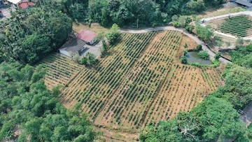 稀有千坪平坦農地✨合法農舍✨小河山坡露營置產慢活｜南投縣鹿谷鄉清秀段