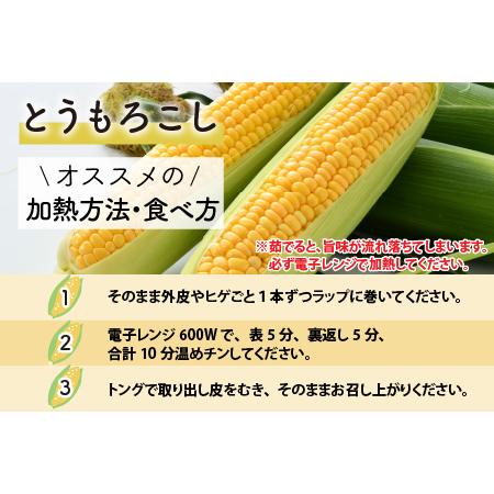 ふるさと納税 春とうもろこし 10本 おおもの 黄色 朝採り ／ 期間限定 数量限定 ハウス栽培 産地直送 甘い スイートコーン とうも.. 福井県あわら市