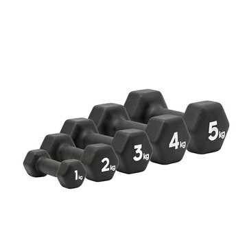 ADIDAS 六角健身啞鈴 愛迪達 啞鈴 一組2入 健身 健身啞鈴 二頭肌訓練 ADWT-11 23FW 【樂買網】