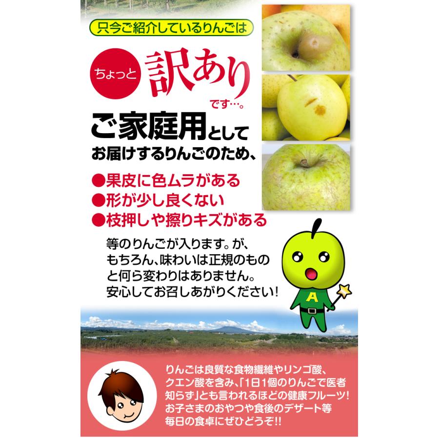 りんご 10kg 青森産 金星  ご家庭用 送料無料 食品