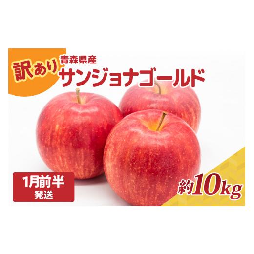 ふるさと納税 青森県 五所川原市 訳あり りんご10kg 程度 10月〜3月サンジョナゴールド 青森|不揃いリンゴ 10月 11月 12月 1月 2月 3月