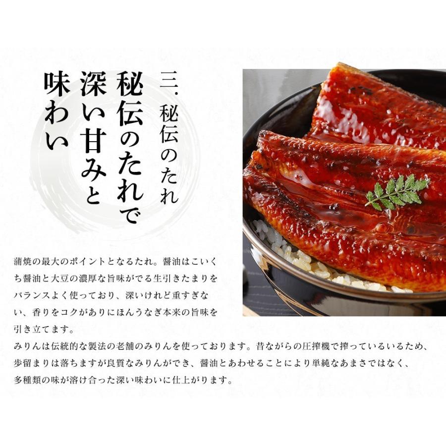 うなぎ 蒲焼き ウナギ 鰻 新仔 500円OFFクーポン有 新仔にほんうなぎ蒲焼き 約140g×2尾 280g前後 台湾産 タレ山椒付 食べ方ガイド付 化粧箱入 シールのし対応