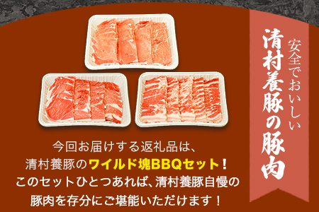 ワイルド塊BBQセット 計1450g 清村養豚 《30日以内に順次出荷(土日祝除く)》  熊本県 御船町 豚 肉 冷凍 小分け カタ モモ バラ