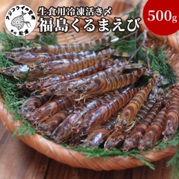 生食用冷凍活き〆福島くるまえび500ｇ