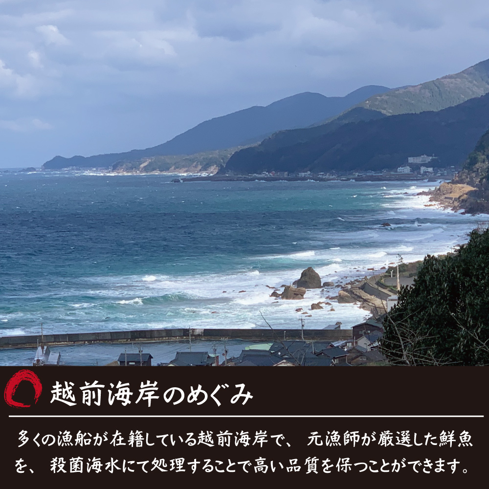 おつまみ ホタルイカ 燻製 90g ほたるいか 業務用 干物 珍味 お徳用 晩酌 ギフト 日本海産 無添加食品 美味しい チャック付き袋入り 海鮮