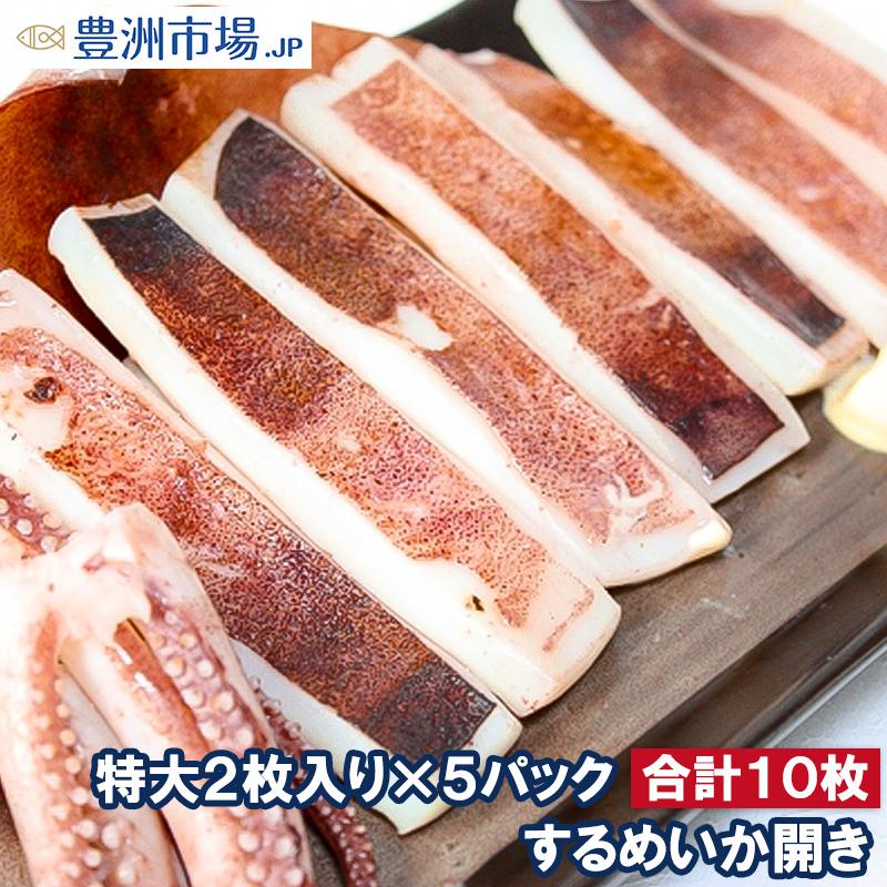 いか イカ イカ焼き 本当にデカイ！特大いか開き 2枚入り×5袋 甘塩手造りの特選クラス 驚きの大きさと身の厚さでとても柔らか 北海道産