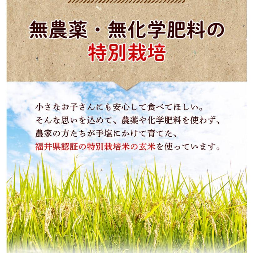 玄米ごはん レトルト エコパック 200g×30袋 無農薬・無化学肥料 令和5年福井県産新米 特別栽培米 コシヒカリ使用 送料無料