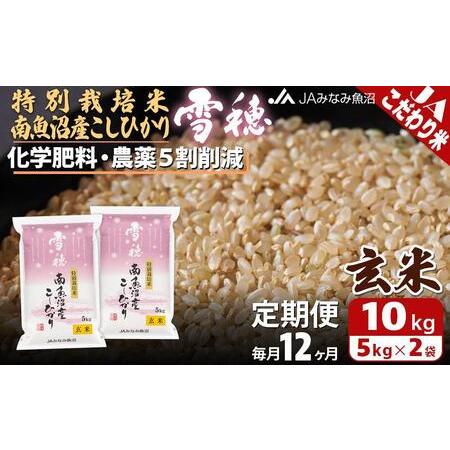 ふるさと納税 特別栽培米南魚沼産こしひかり「雪穂」玄米（10kg×全12回） 新潟県南魚沼市