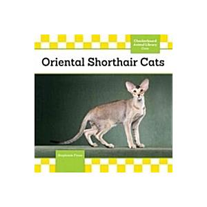 Oriental Shorthair Cats (Library Binding)