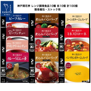 レトルト食品 詰め合わせ レトルトカレー ハンバーグ シチュー スープ カレーうどんの素 10種 各10個 計100個 レトルト おかず 惣菜 食品