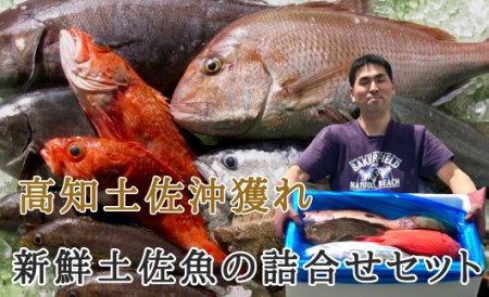 新鮮土佐魚の詰合せセットD