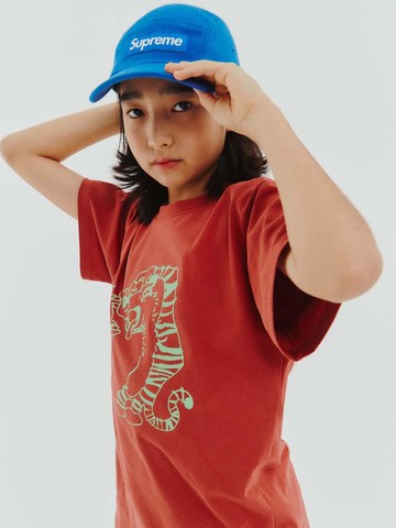 Friend Short Sleeve_Brick