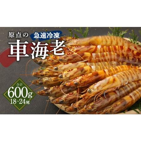 ふるさと納税 原点の車海老 「急速冷凍」 600g (18〜24尾) 300g×2パック 熊本県上天草市