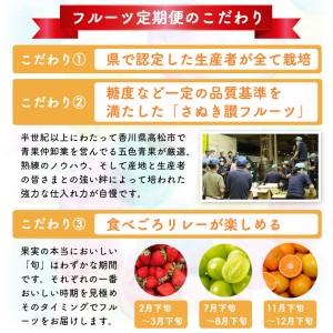 ふるさと納税 讃岐の フルーツ 年3回 定期便 香川県東かがわ市