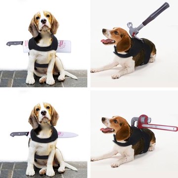 寵物狗狗貓咪萬圣節胸背搞怪背帶衣服玩具中小型犬裝扮用品