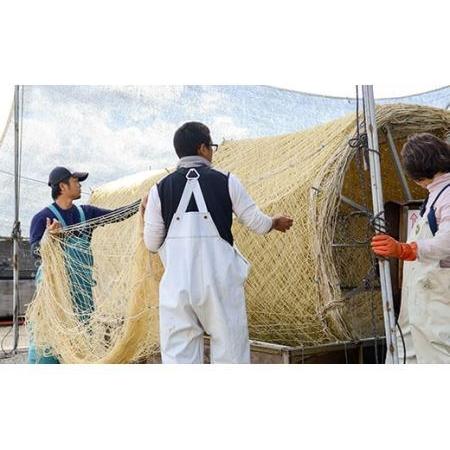 ふるさと納税 海苔漁師が作る極上の佃煮！海苔師の生のり佃煮〈極〉とバラエティ海苔セット〈LL〉 詰合せ ごはんのお供 セット 生海苔 海苔 のり.. 広島県福山市