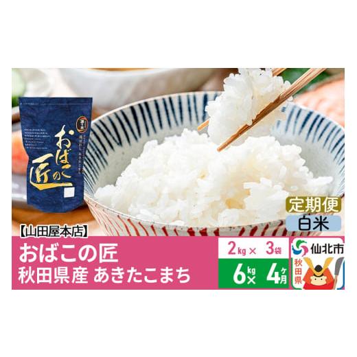 ふるさと納税 秋田県 仙北市 《定期便4ヶ月》令和5年産 仙北市産 おばこの匠 6kg×4回 計24kg 4か月 4ヵ月 4カ月 4ケ月 秋田こまち お米 秋田県産あき…