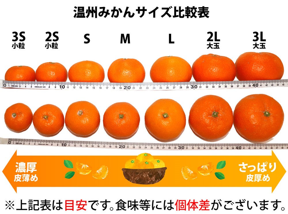 ZA94072_田村みかん 約10kg(Lサイズ)