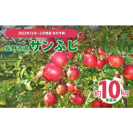 ふるさと納税 先行予約 長野市産サンふじ家庭用 約10kg 2023年12月〜2月発送　※オンライン決済限定 長野県長野市