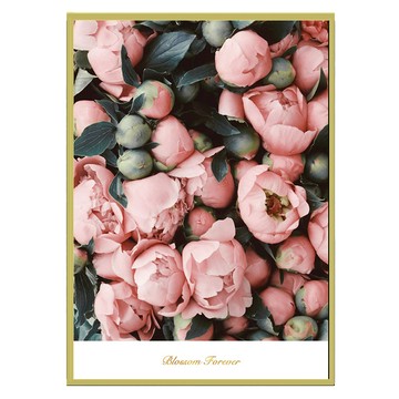 菠蘿選畫所 茱萸粉盛開 框畫  70 x 50cm  金色