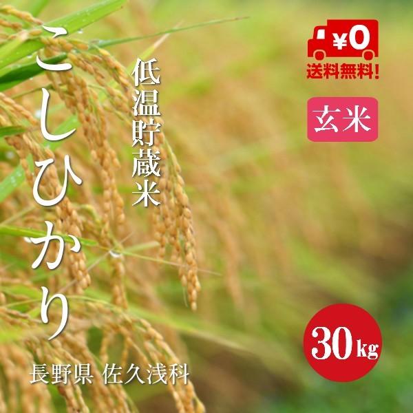 新米 令和５年産 長野県産 こしひかり 浅科産 １等米 玄米 ３０kg