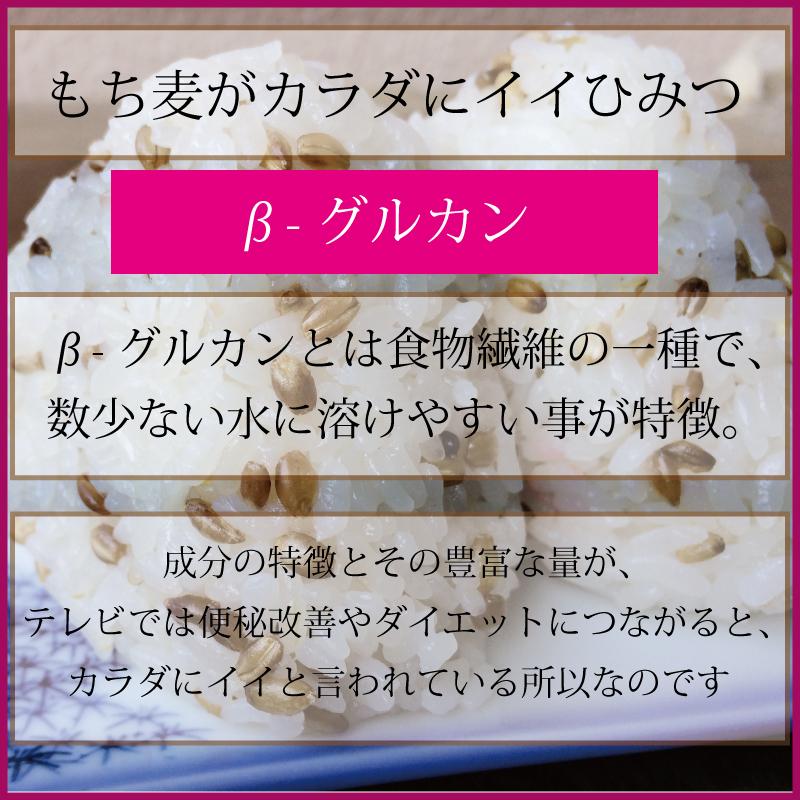 もち麦  お徳用 2kg 業務用 国産 農薬不使用 栄養価最高峰の殻付き紫もち麦品種