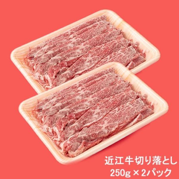 〔５００g〕日本三大ブランド和牛「近江牛」切り落とし500g(250g×2)