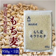 岡山県玉野市産 もち麦 キラリモチ 950g×5袋