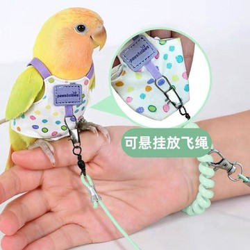 小店嚴選🥭【出行自由】鸚鵡飛行服按扣款鳥用玄鳳牡丹小太陽虎皮屎尿便兜尿SA