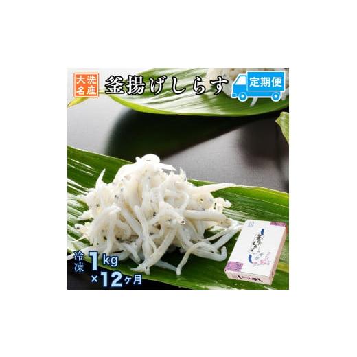 ふるさと納税 茨城県 大洗町 定期便 釜揚げしらす (1kg×12か月) 天然 釜揚げ ふっくら しらす シラス 魚 さかな 魚介 離乳食