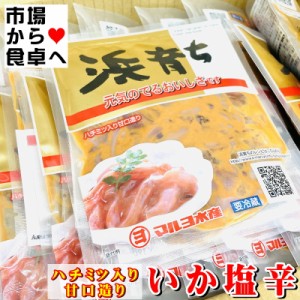 塩辛 浜育ち 40袋(1袋100g)  はちみつ入り甘口造り・ビタミンＥ配合