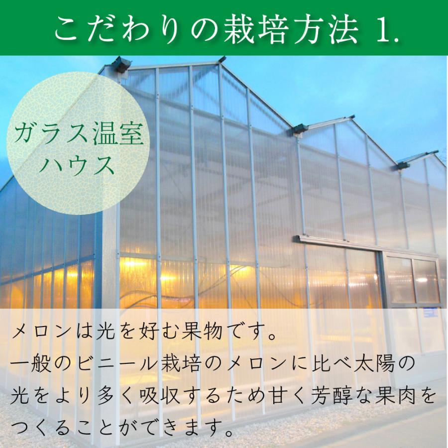 クラウンメロン×国産うなぎ食べ比べセット  クラウンメロン うなぎ加工品 お歳暮