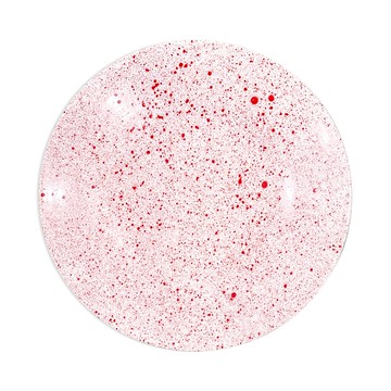 Non Sans Raison Splash Dinner Plate