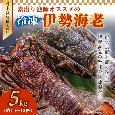 伊勢エビ冷凍　5キロ